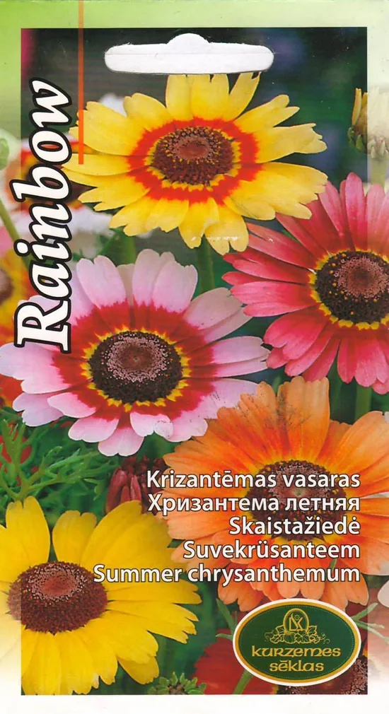 LILLESEEMNED KURZEMES SEKLAS SUVEKRÜSANTEEM RAINBOW 1G