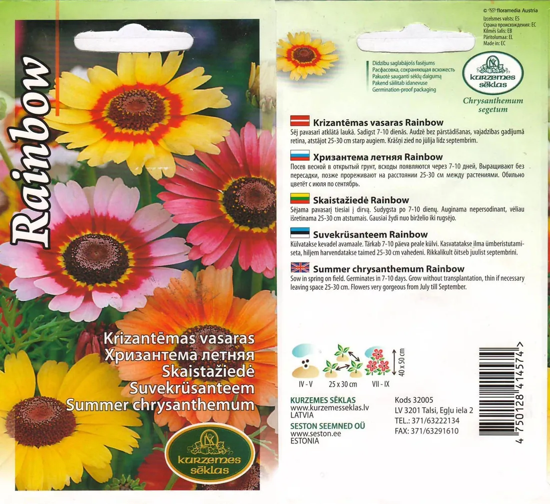 LILLESEEMNED KURZEMES SEKLAS SUVEKRÜSANTEEM RAINBOW 1G