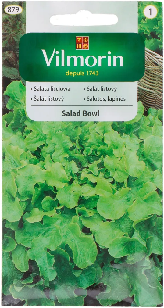 KÖÖGIVILJASEEMNED SALAT SALAD BOWL