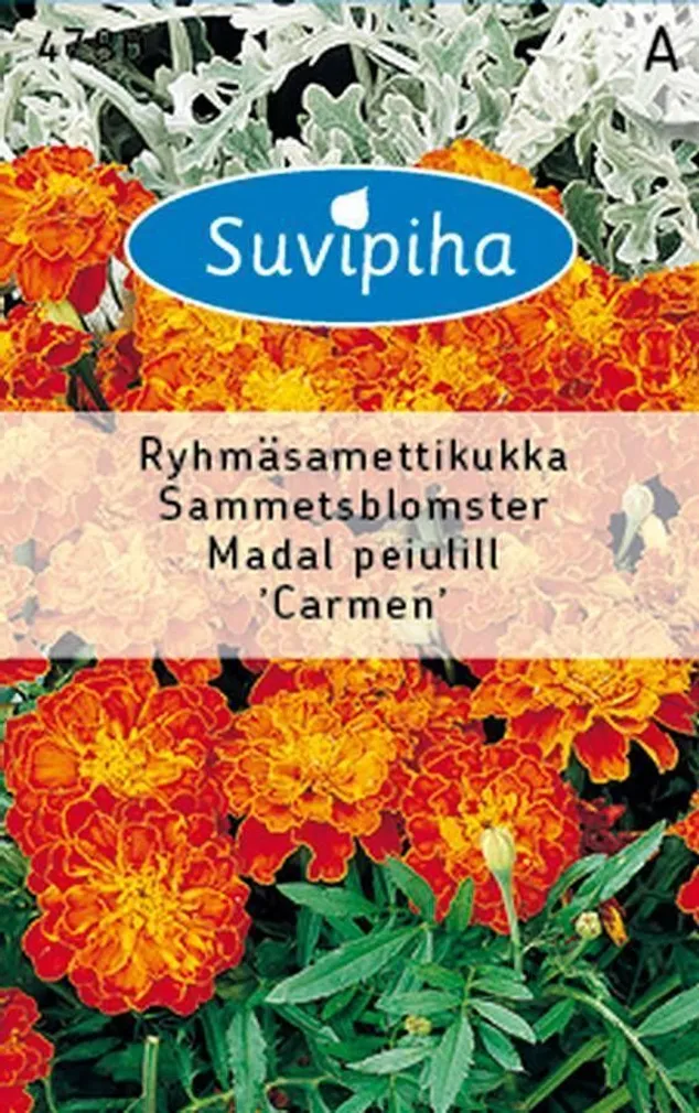 LILLESEEMNED SUVIPIHA PEIULILL MADAL CARMEN 