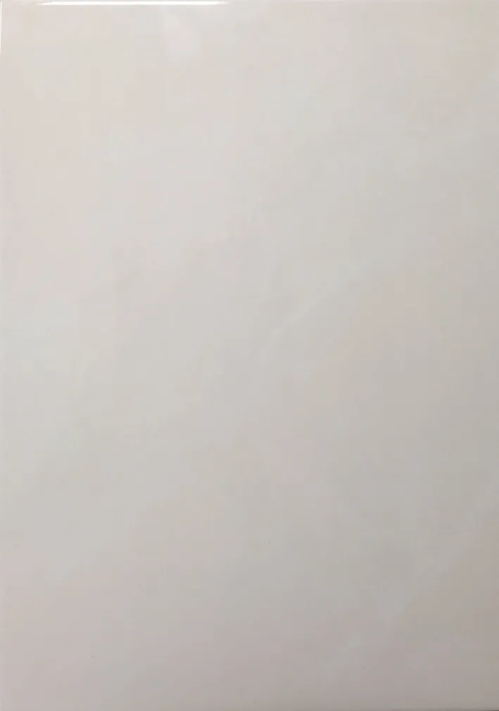 KERAAMILINE SEINAPLAAT MIRA BEEŽ 25X35CM