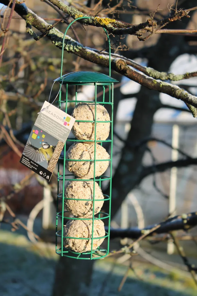 SÖÖTJA 4-LE RASVAPALLILE GARDEN SEASONS 6,3X25CM