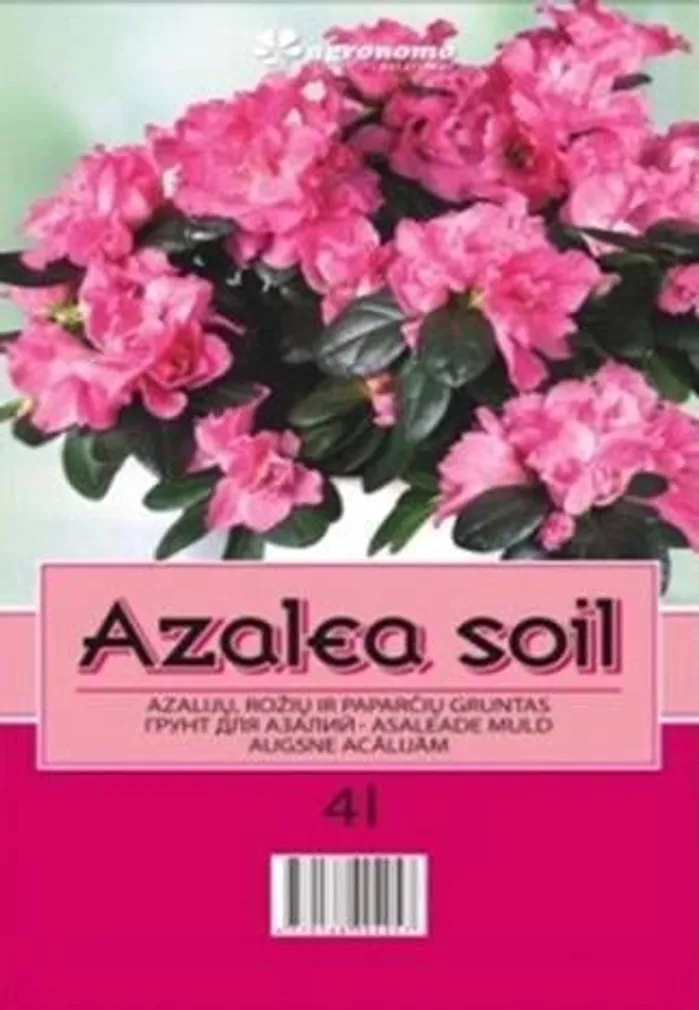 ASALEAMULD SEKLOS 4L