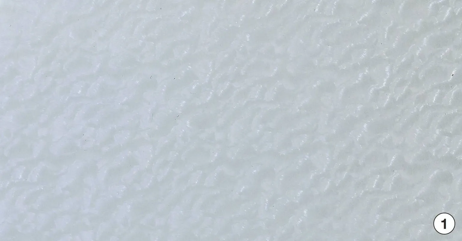 KLEEBIS D-C-FIX 0,45X2M KLAASILE 346-0012