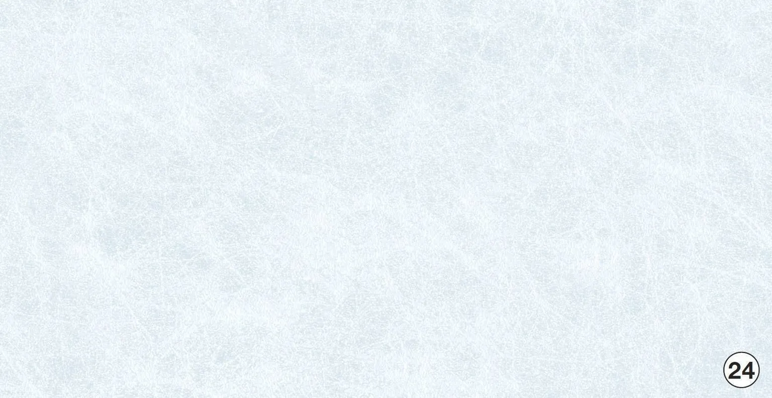 KLEEBIS D-C-FIX 0,45X2M KLAASILE 346-0350