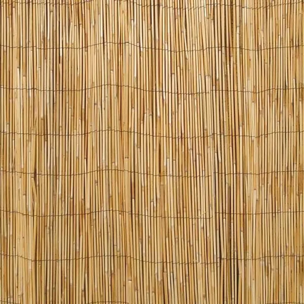 RULLAED PILLIROOG 2X5M