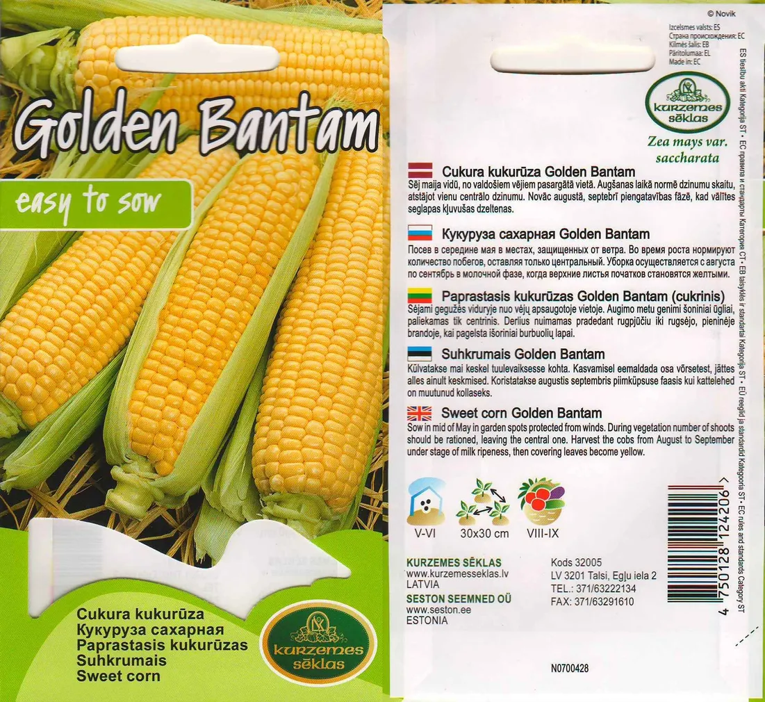 SEEMNED KURZEMES SEKLAS SUHKRUMAIS GOLDEN BANTAM 5G