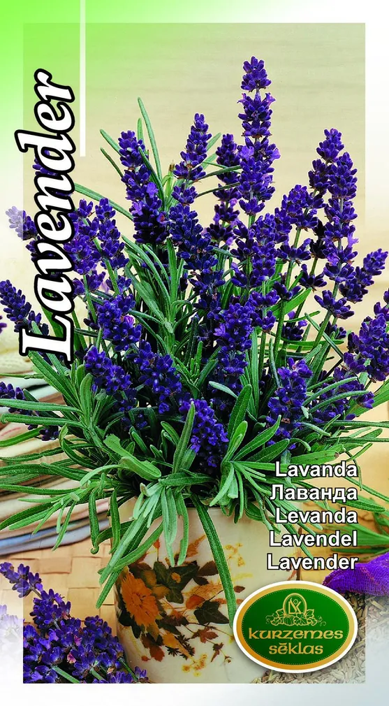 SEEMNED KURZEMES SEKLAS LAVENDEL 0,3 G