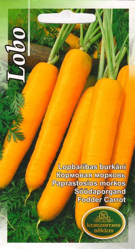 SEEMNED KURZEMES SEKLAS SÖÖDAPORGAND LOBO 3G