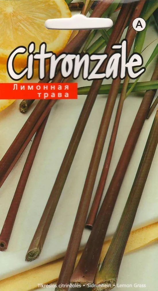 SEEMNED KURZEMES SEKLAS SIDRUNHEIN 0,1 G