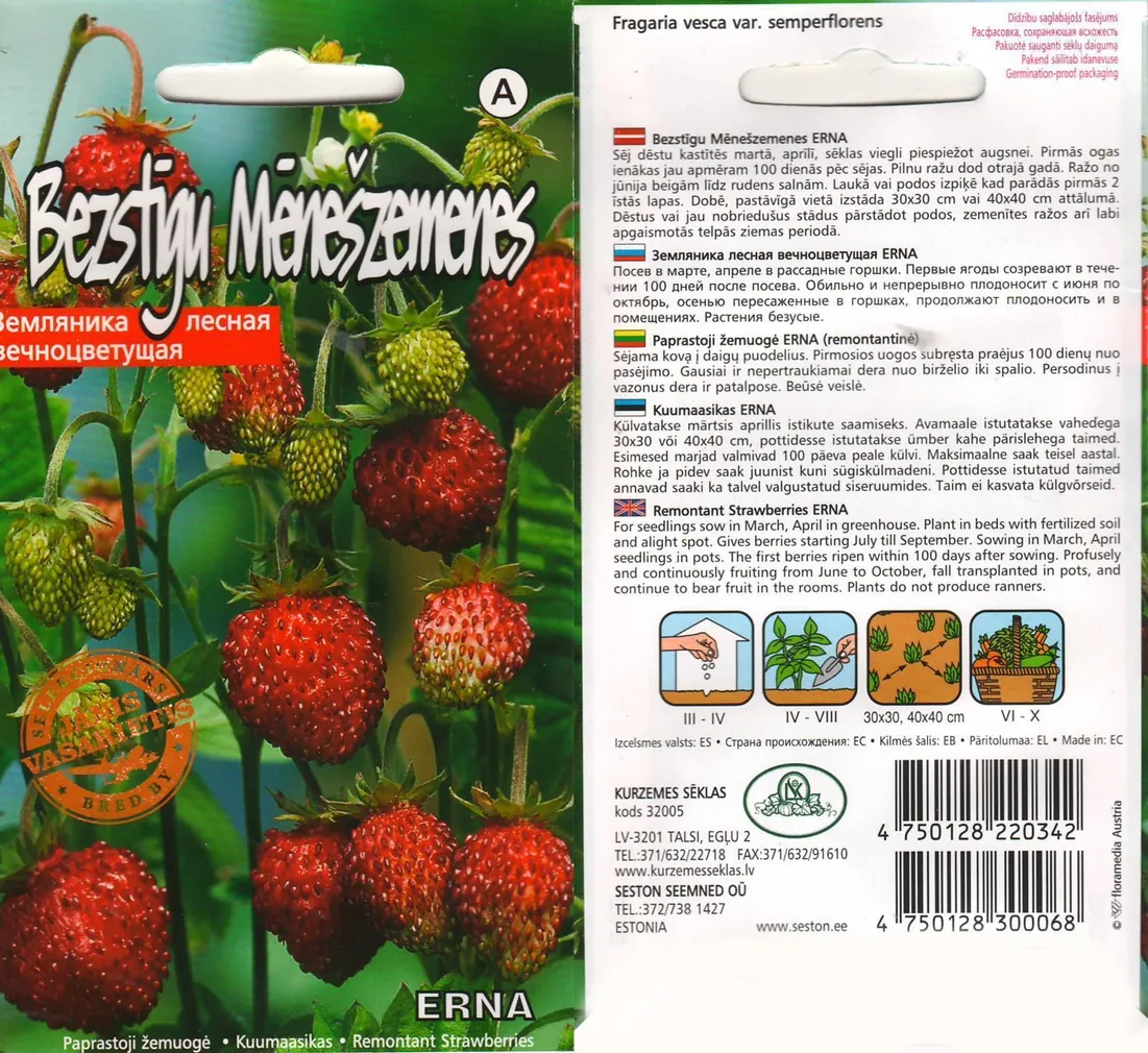 SEEMNED MAASIKAS ERNA 0,05G