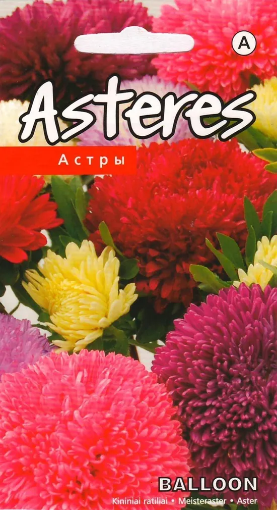 SEEMNED KURZEMES SEKLAS ASTER BALLOON SEGU 0,3 G