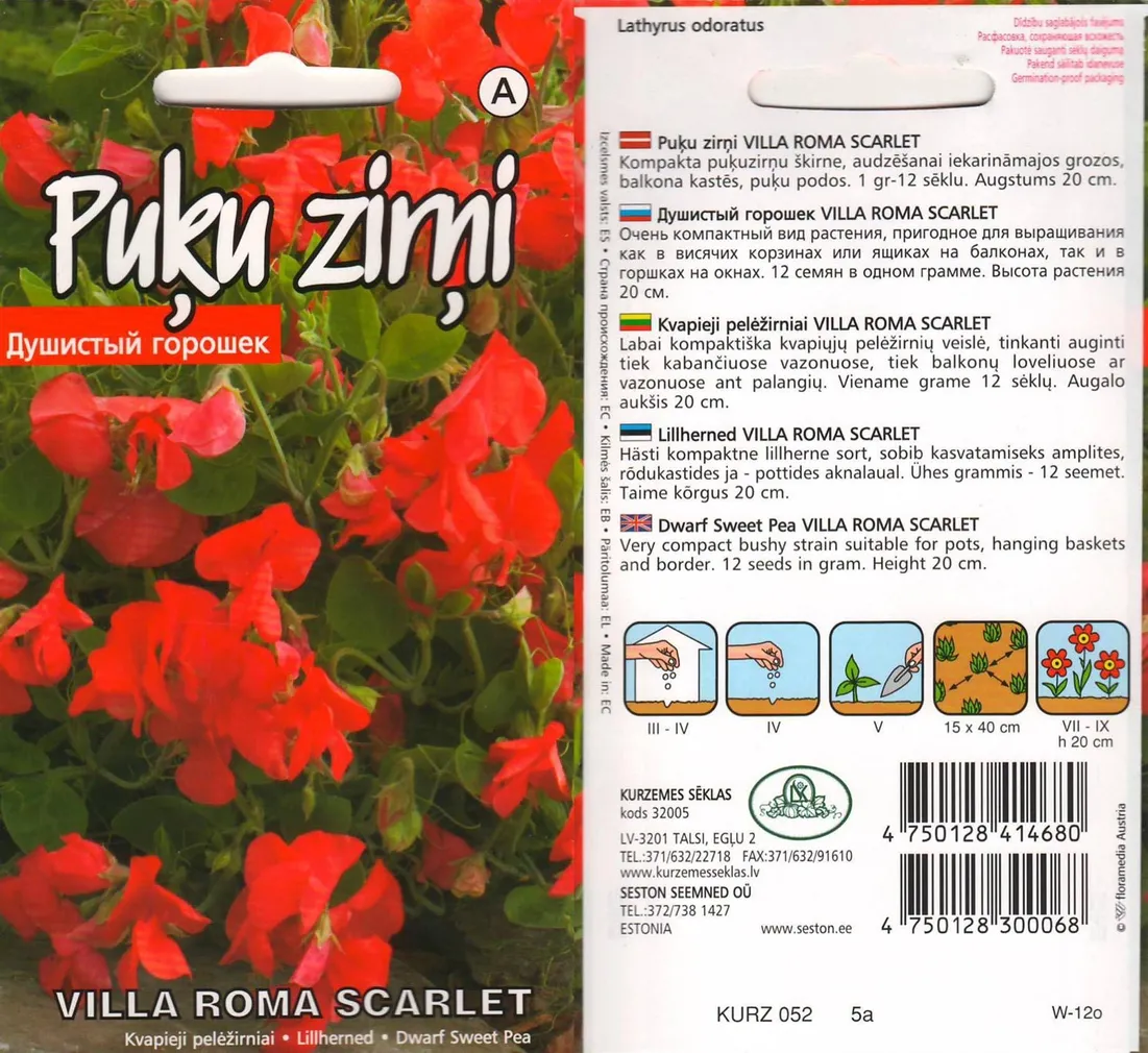 SEEMNED KURZEMES SEKLAS LILLHERNES VILLA ROMA SCARLET MADAL 1 G