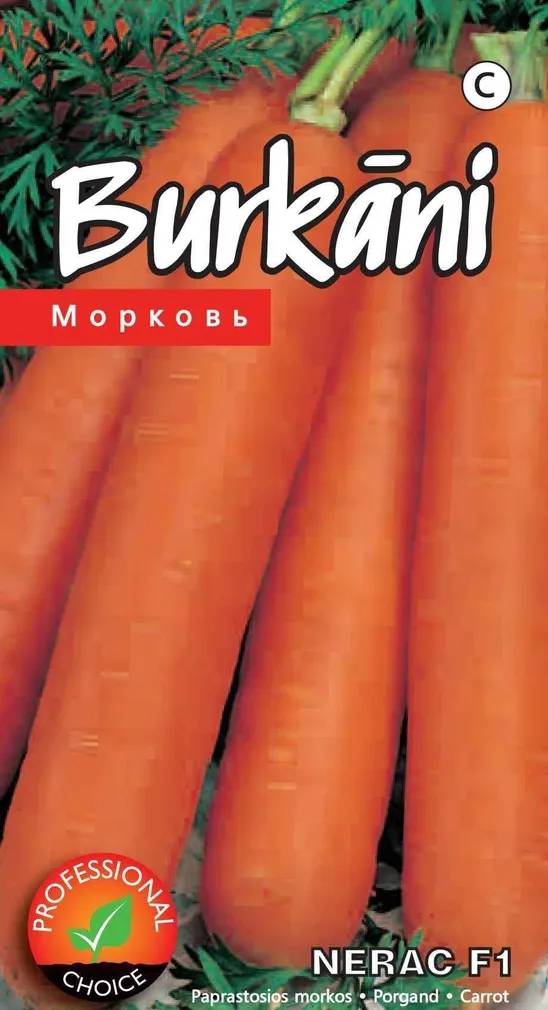 SEEMNED KURZEMES SEKLAS PORGAND NERAC F1 1G