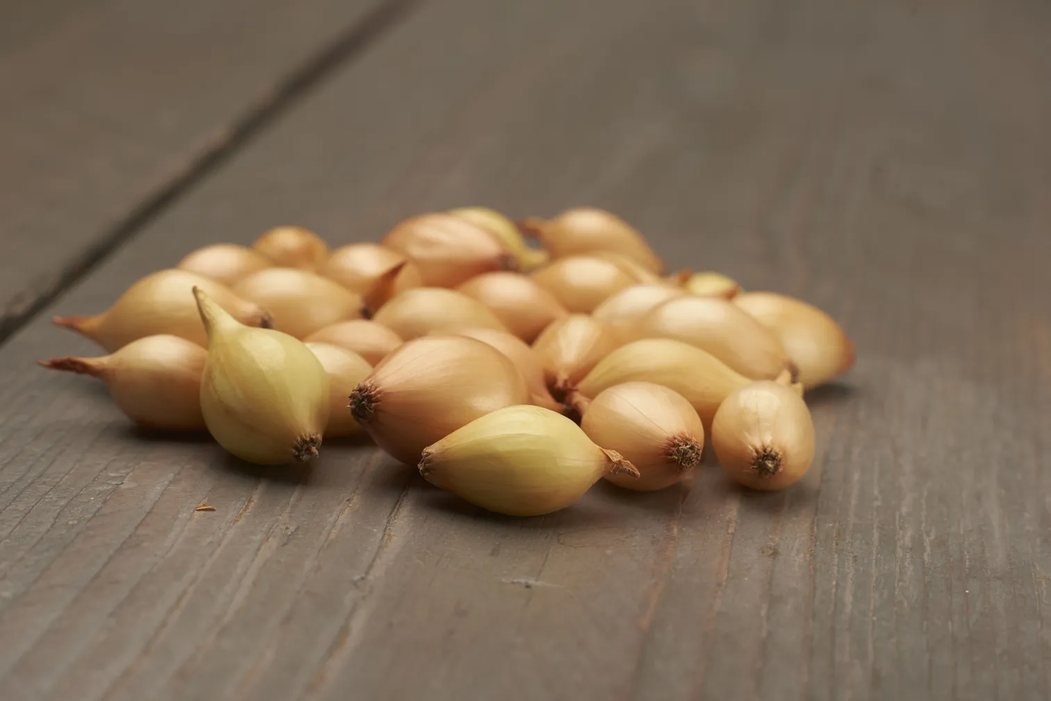 TIPPSIBUL CUPIDO 500G