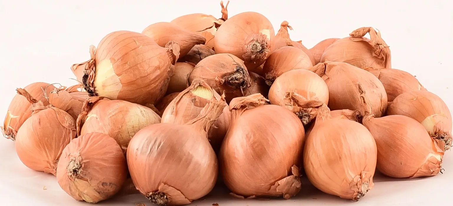 TIPPSIBUL ŠALOTTSIBUL GOLDEN GOURMET 500G