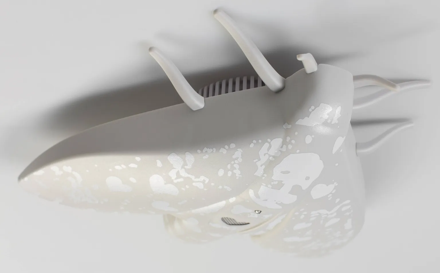 SUITSUANDUR LENTO HALL