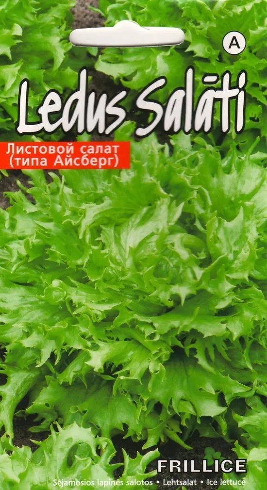 SEEMNED KURZEMES SEKLAS LEHTSALAT FRILLICE 0,1G