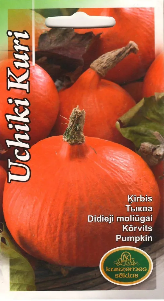 SEEMNED KURZEMES SEKLAS KÕRVITS UCHIKI KURI 1G