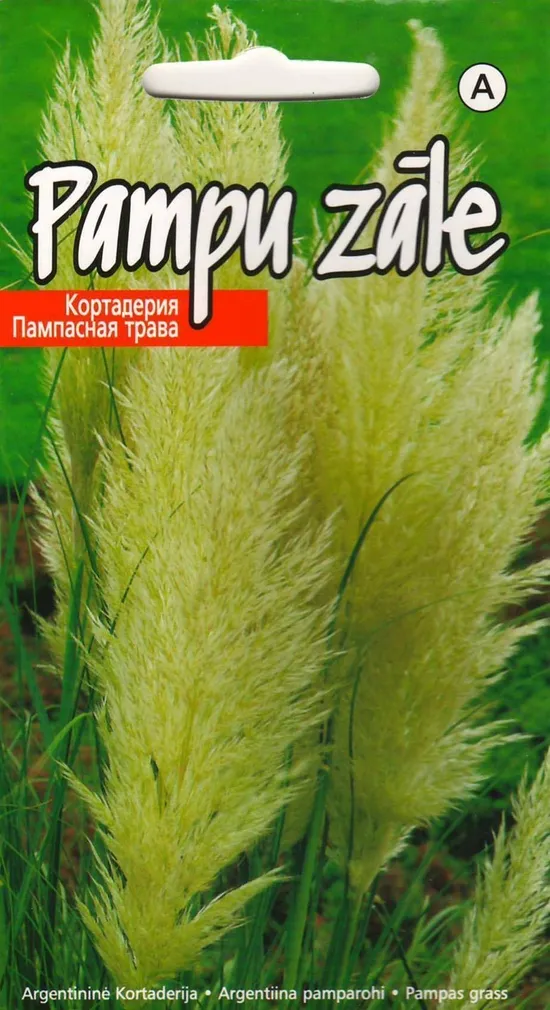 SEEMNED KURZEMES SEKLAS ARGENTIINA PAMPAROHI PLUME WHITE 0,1 G