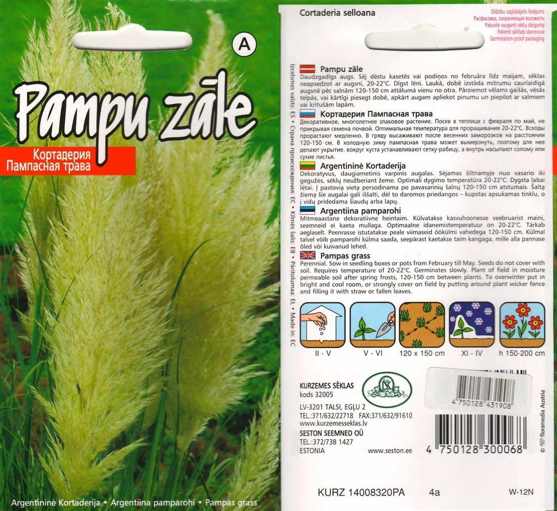 SEEMNED KURZEMES SEKLAS ARGENTIINA PAMPAROHI PLUME WHITE 0,1 G