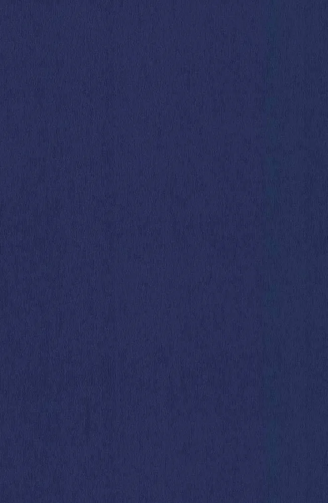 TAPEET P+S 13183-40 10,05X0,53M ARTEMIS