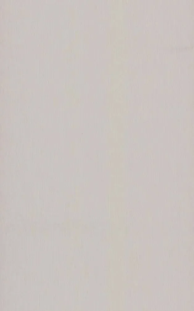 TAPEET P+S 13205-60 10,05X0,53M TRIBUTE TO 135 YEARS