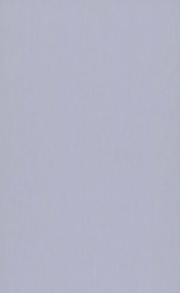 TAPEET P+S 13205-20 10,05X0,53M TRIBUTE TO 135 YEARS