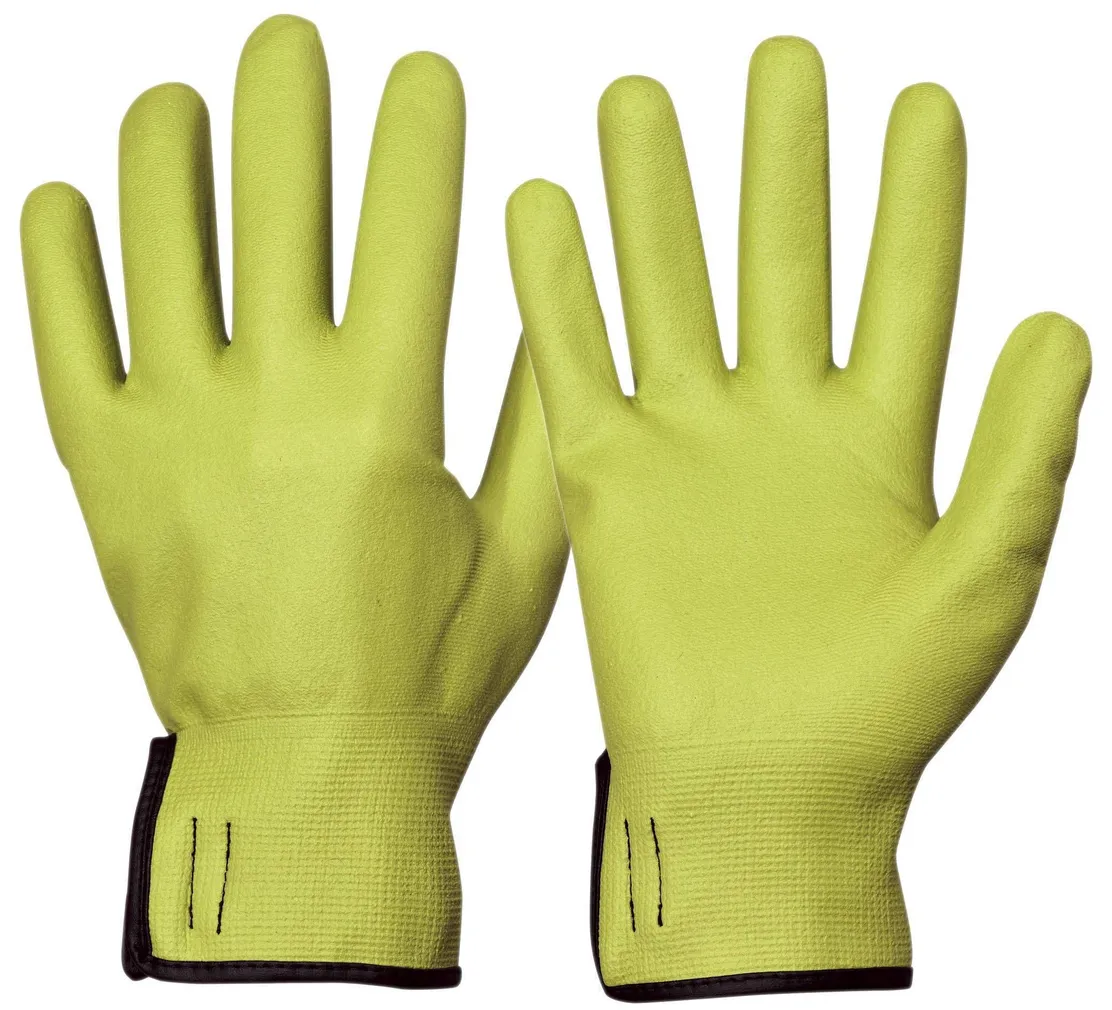 AIAKINDAD ROSTAING TILLEUL LAIMIROHELINE 10