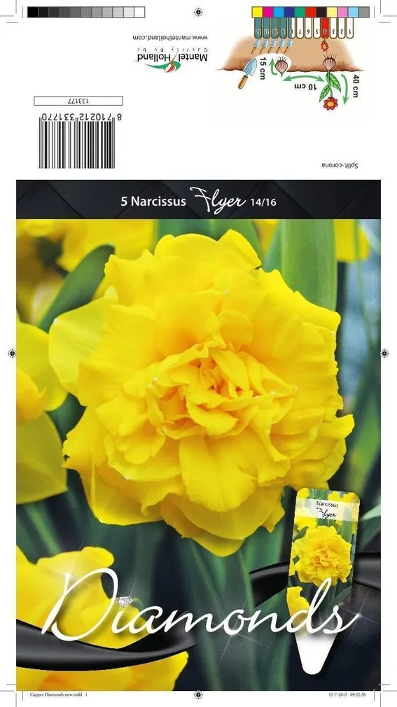 LILLESIBUL NARTSISS SC FLYER 5TK PAKIS