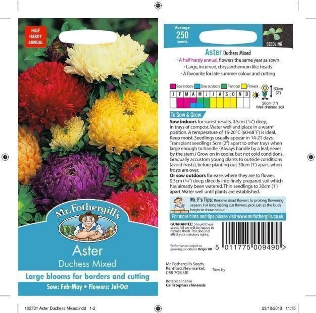LILLESEEMNED ASTER DUCHESS MIX