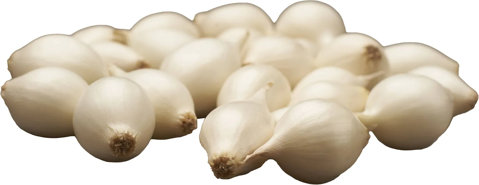 TIPPSIBUL SNOWBALL Ø8-24MM 0,5KG