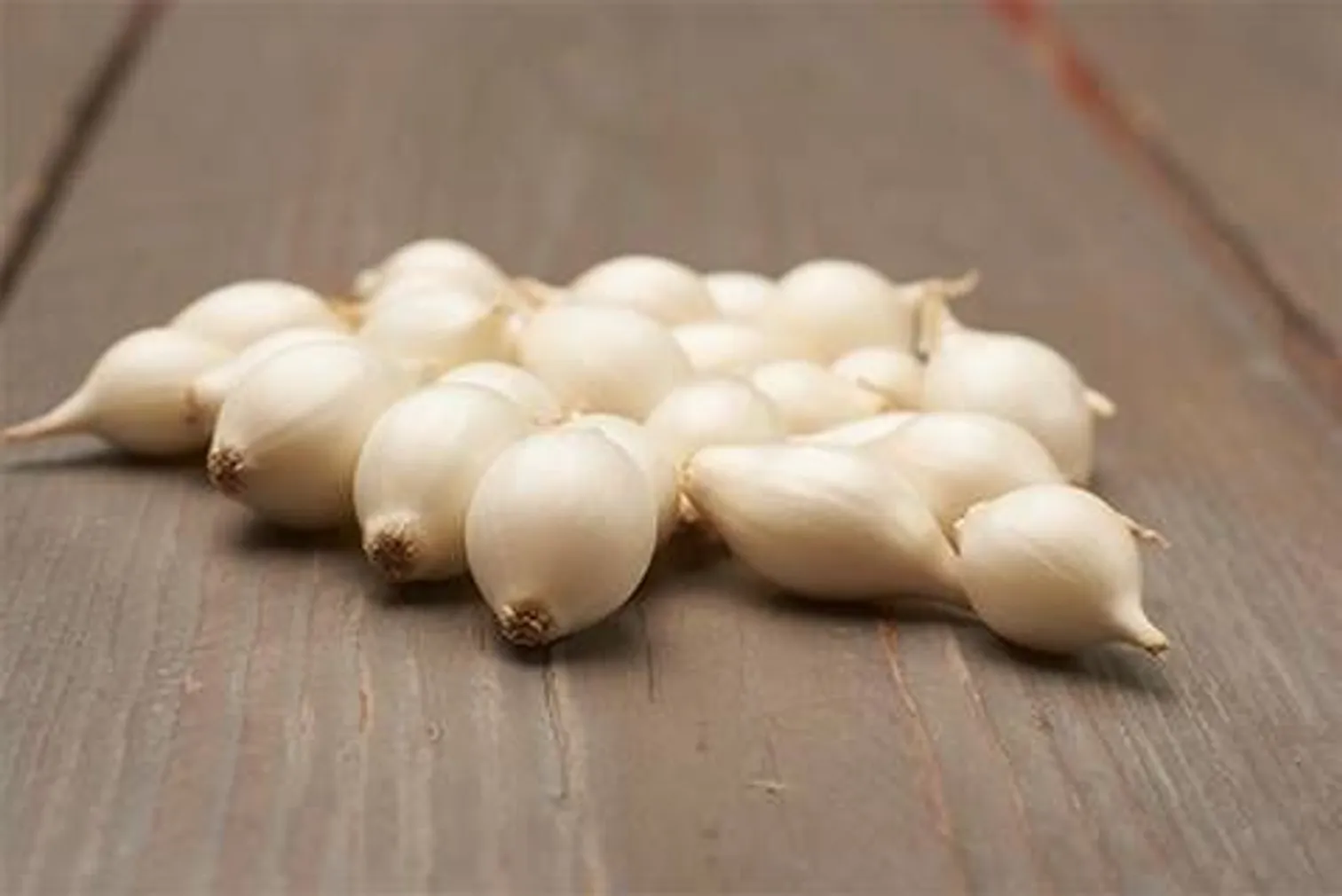 TIPPSIBUL SNOWBALL Ø8-24MM 0,5KG