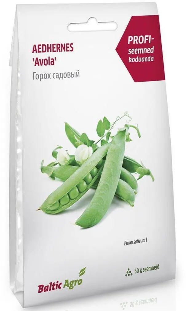 SEEMNED BALTIC AGRO HERNES "AVOLA" F1