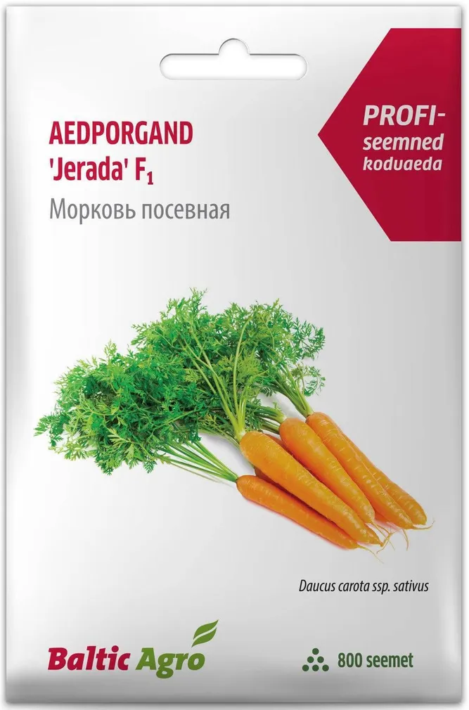 SEEMNED BALTIC AGRO PORGAND "JERADA" RZ F1