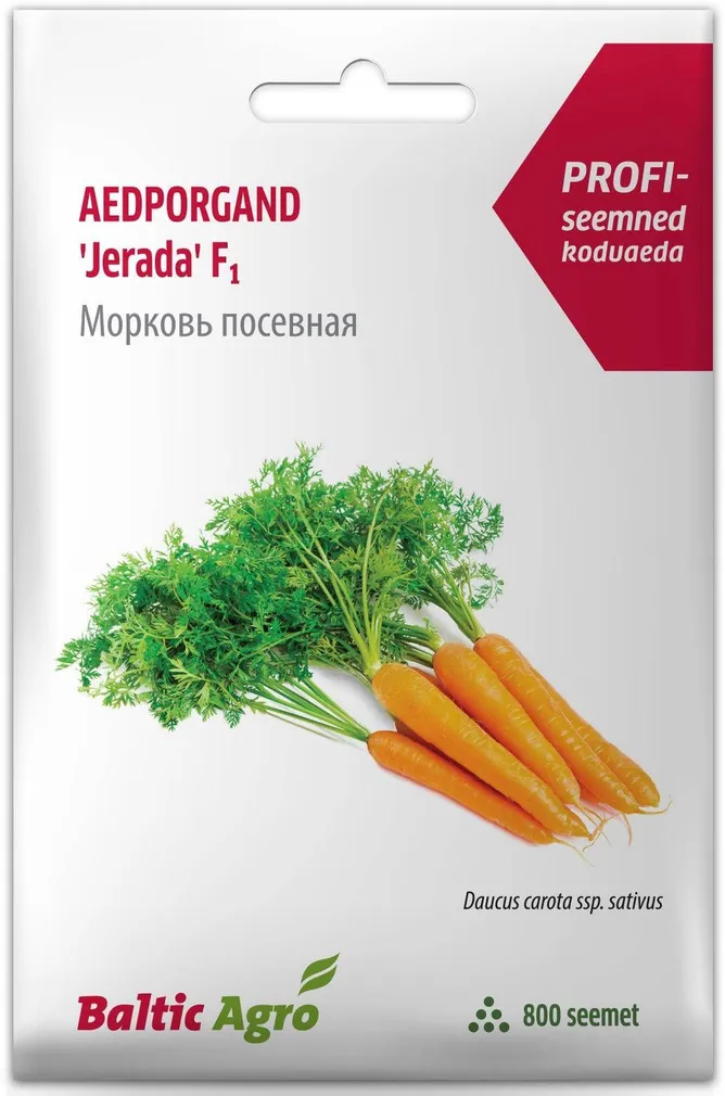 SEEMNED BALTIC AGRO PORGAND "JERADA" RZ F1