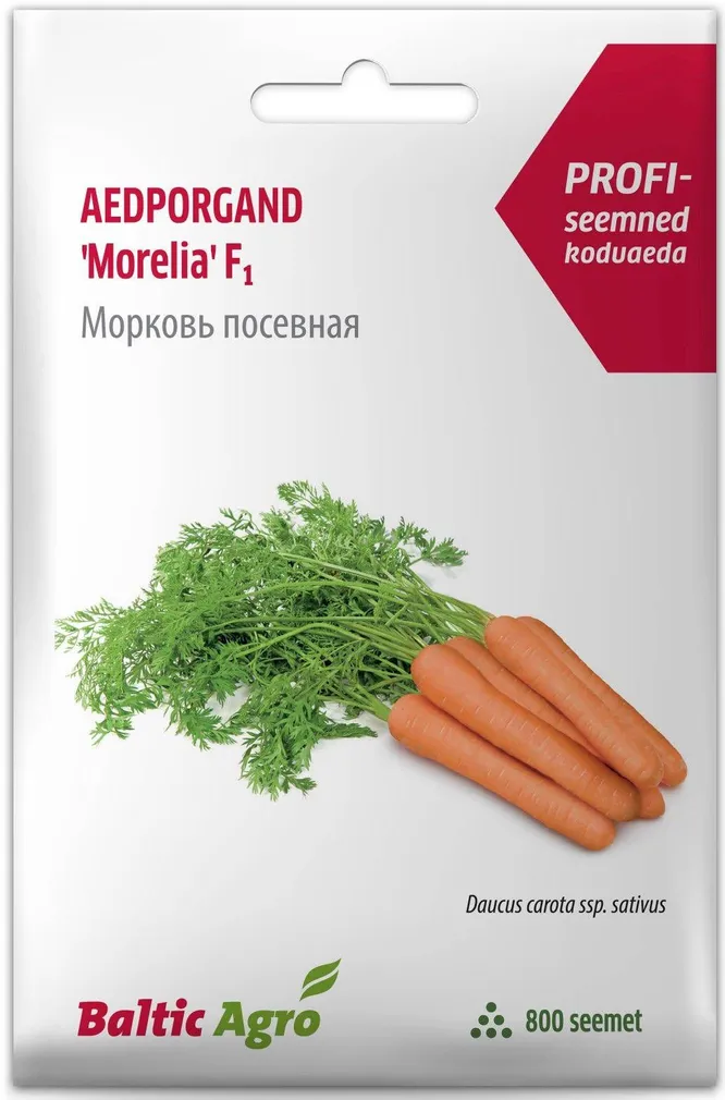 SEEMNED BALTIC AGRO PORGAND "MORELIA" RZ F1