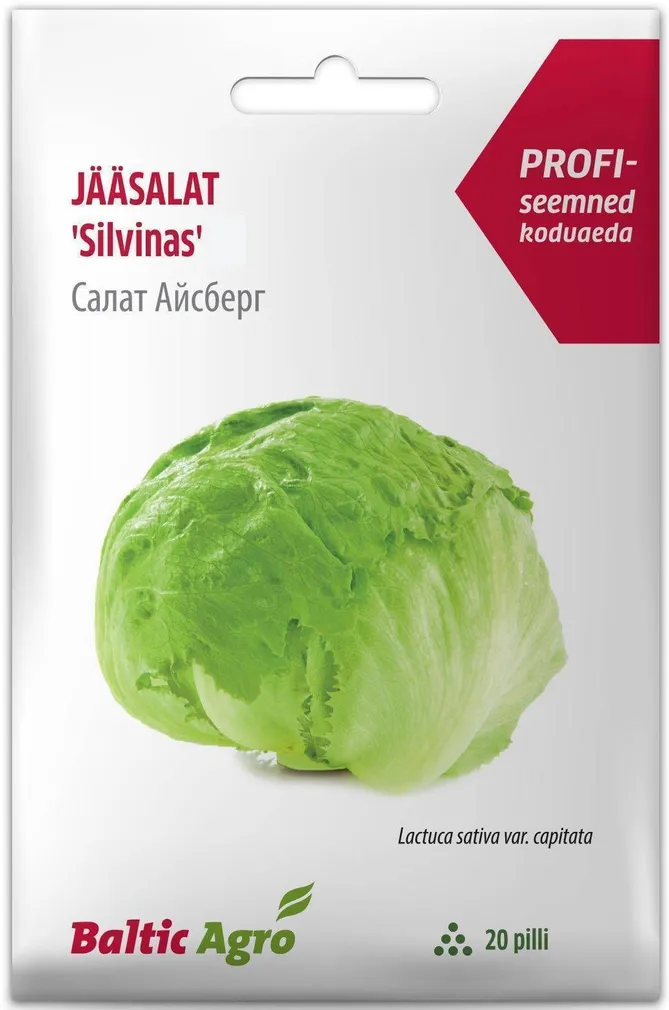 SEEMNED BALTIC AGRO JÄÄSALAT "SILVINAS" F1