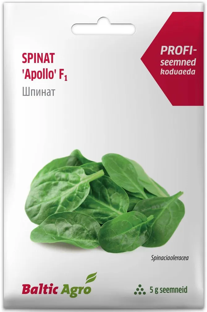 SEEMNED BALTIC AGRO SPINAT "APOLLO" F1 5G