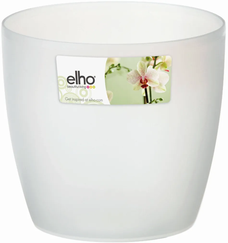 ORHIDEEPOTI ÜMBRIS BRUSSELS Ø12,5CM