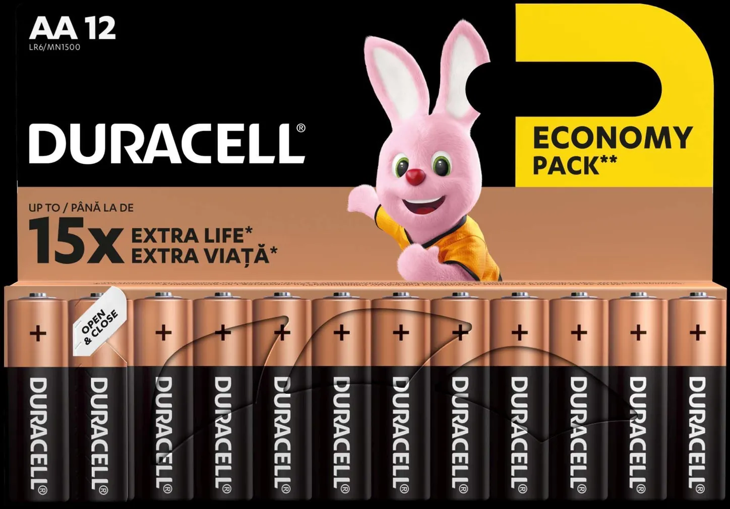 PATAREI DURACELL BASIC AA 12TK PAKIS