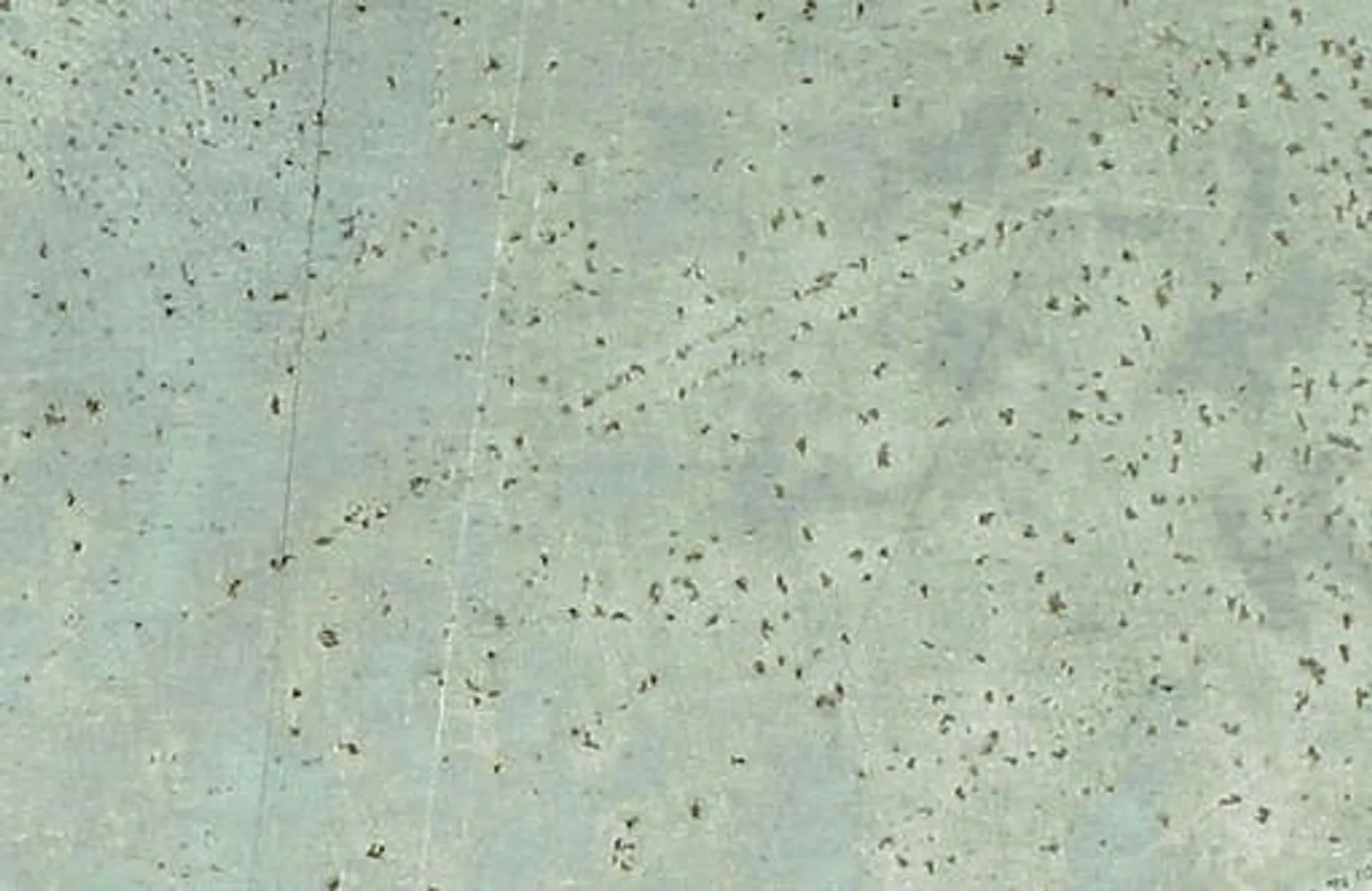 METALLPLAAT ARCANSAS LÄIKIV 500X400X0,5MM