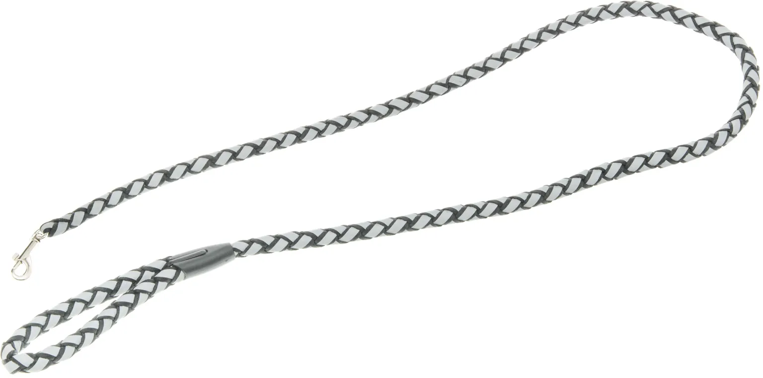 LEMMIKLOOMA JALUTUSRIHM HELKURIGA