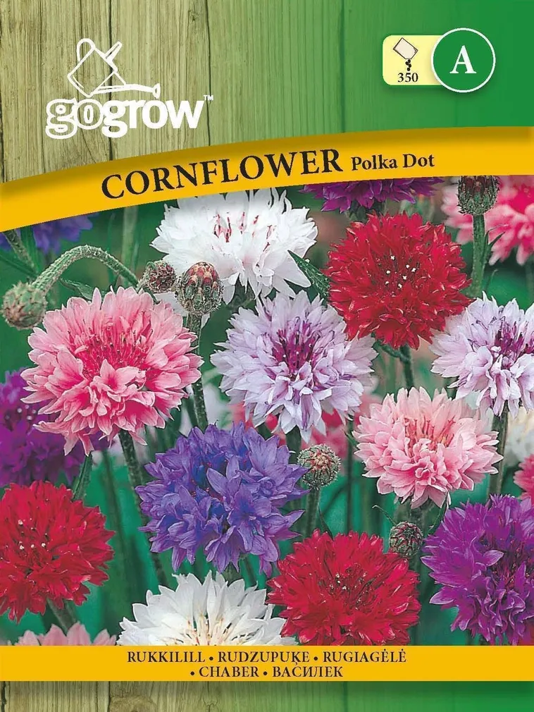 LILLESEEMNED GO GROW RUKKILILL POLKA DOT