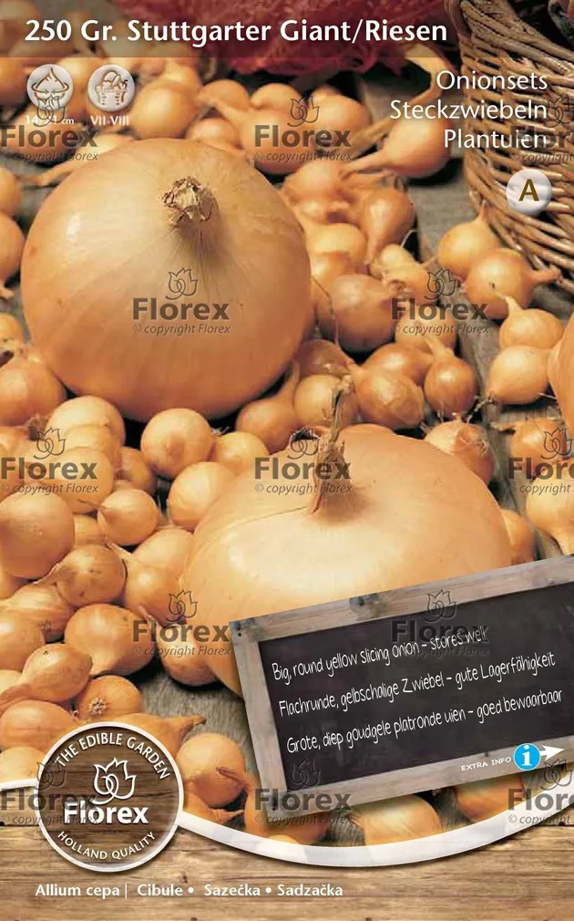 TIPPSIBUL STUTTGARTER RIESEN 500GR/PAKK