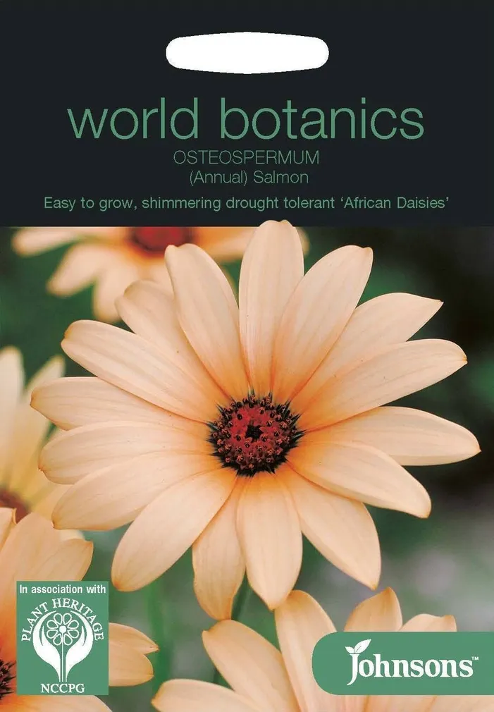 LILLESEEMNED JOHNSON’S KULDKAKAR SALMON