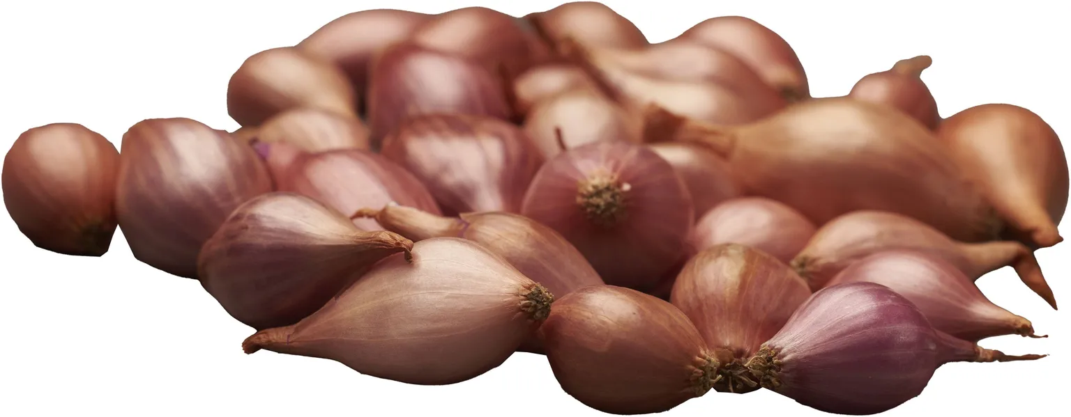 TIPPSIBUL ROSANNA TIPPSIBUL 21-24 ROOSA 0,5KG PAKIS