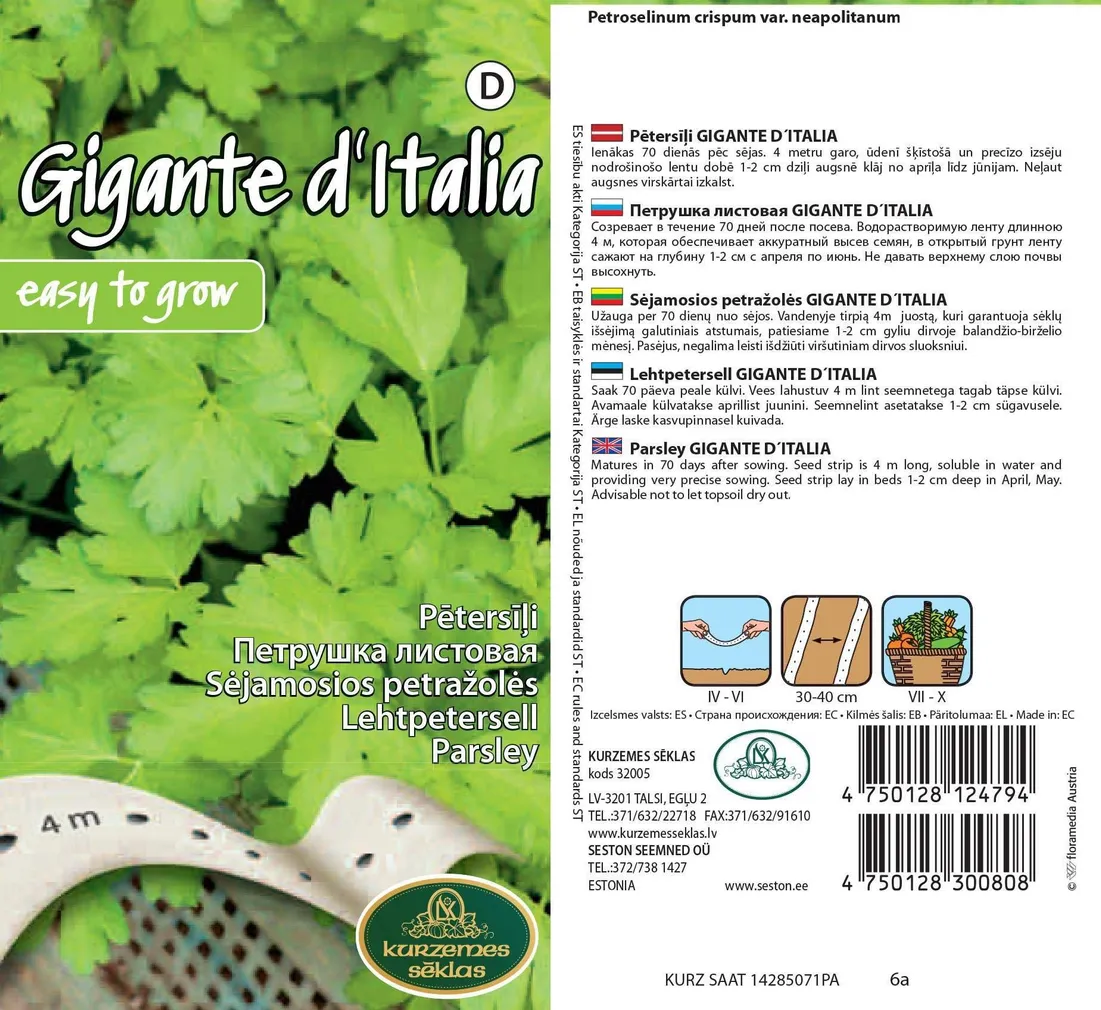 SEEMNED KURZEMES SEKLAS PETERSELL GIGANTE D'ITALIA 4M LINDIL