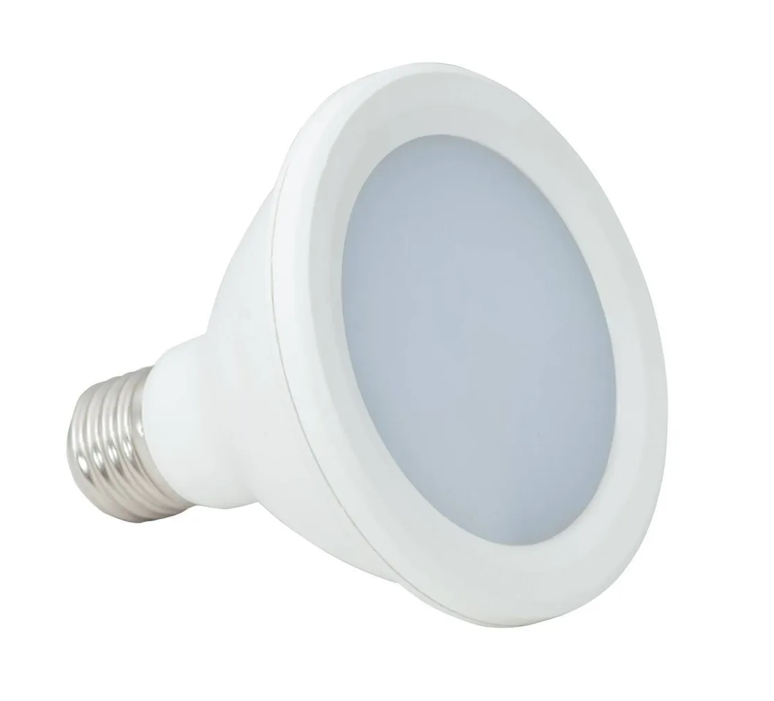 LED LAMP TAIMEDELE PAR 12W 360LM E27