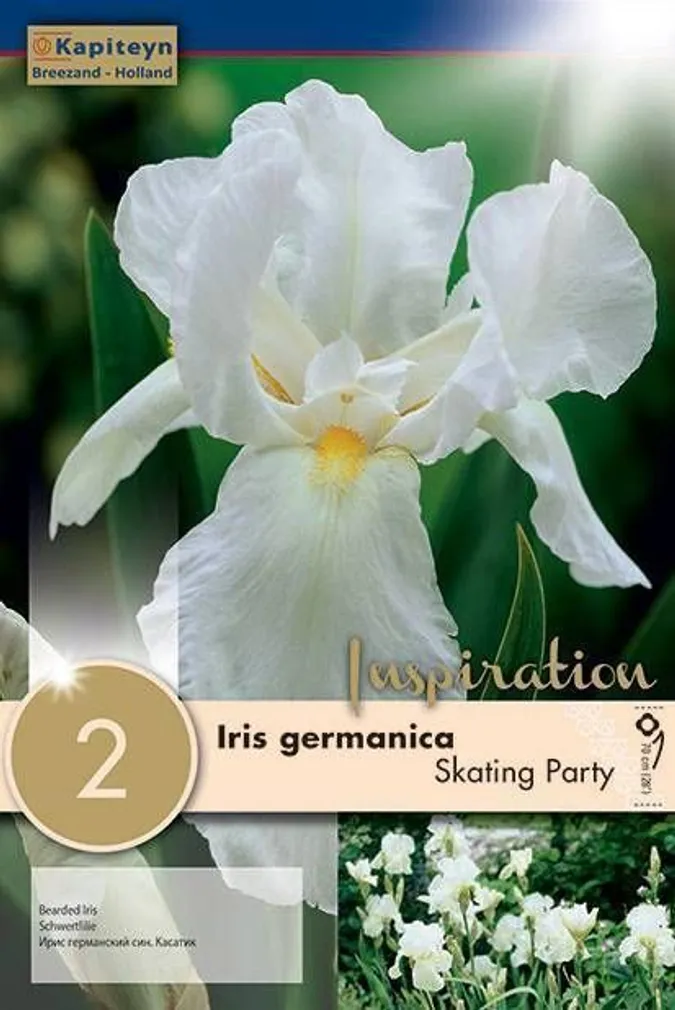 LILLESIBUL AEDIIRIS SKATING PARTY 2TK PAKIS